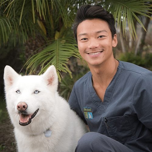 Kelvin Chan
